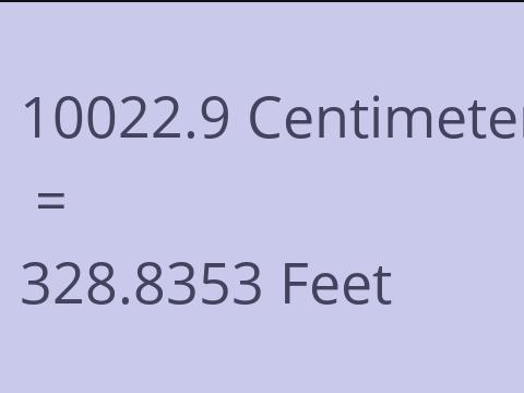 10022.9 CM TO FEET