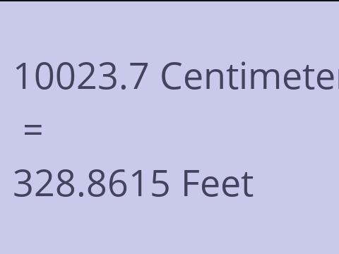 10023.7 CM TO FEET