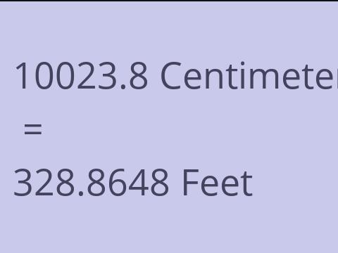 10023.8 CM TO FEET