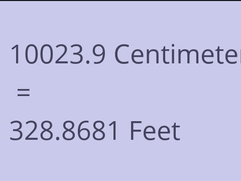 10023.9 CM TO FEET