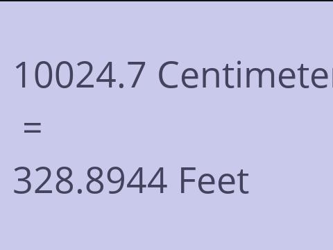 10024.7 CM TO FEET