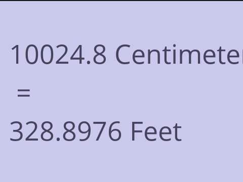 10024.8 CM TO FEET