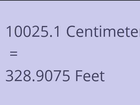 10025.1 CM TO FEET