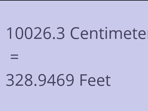 10026.3 CM TO FEET