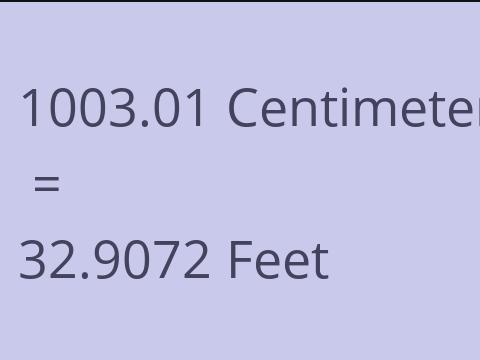 1003.01 CM TO FEET