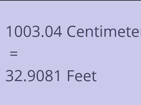 1003.04 CM TO FEET