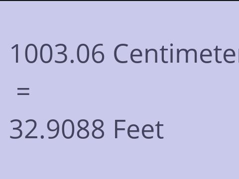 1003.06 CM TO FEET