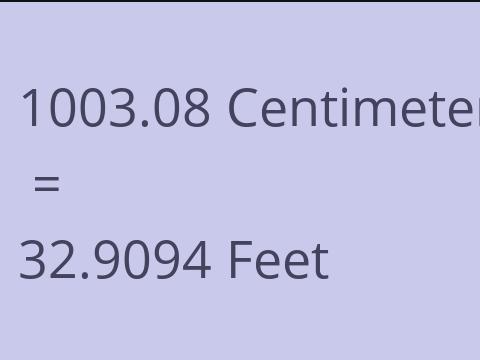 1003.08 CM TO FEET