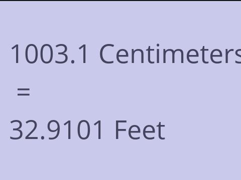 1003.1 CM TO FEET