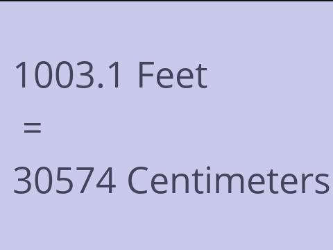 1003.1 FEET TO CM