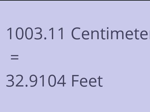 1003.11 CM TO FEET