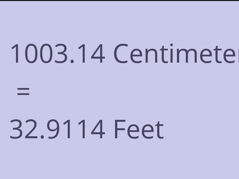 1003.14 CM TO FEET