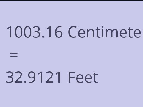 1003.16 CM TO FEET