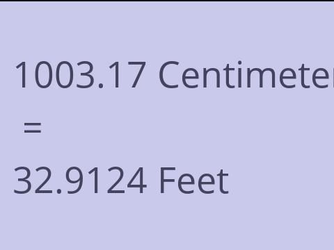 1003.17 CM TO FEET