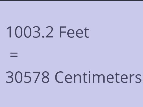 1003.2 FEET TO CM