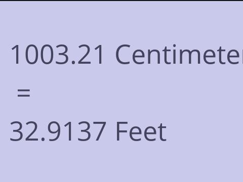 1003.21 CM TO FEET