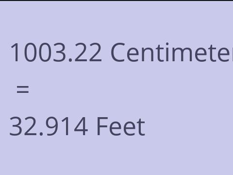 1003.22 CM TO FEET