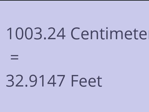 1003.24 CM TO FEET