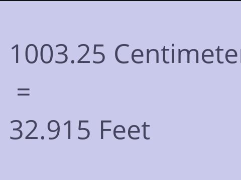 1003.25 CM TO FEET