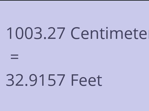 1003.27 CM TO FEET