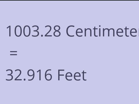 1003.28 CM TO FEET