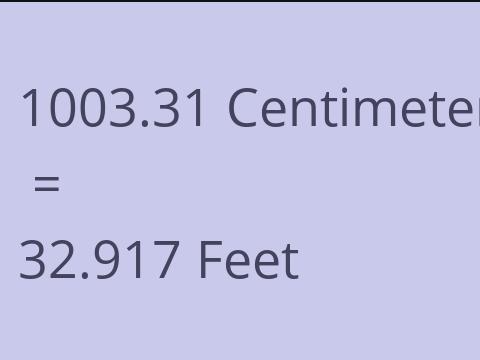 1003.31 CM TO FEET