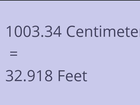 1003.34 CM TO FEET