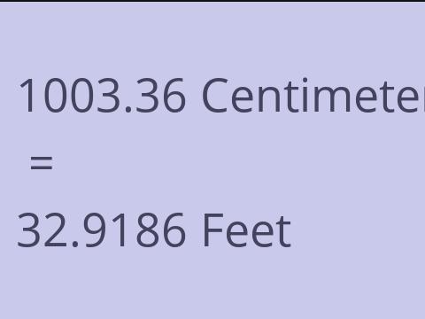 1003.36 CM TO FEET