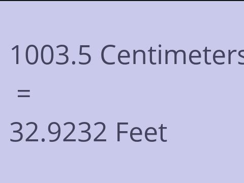 1003.5 CM TO FEET