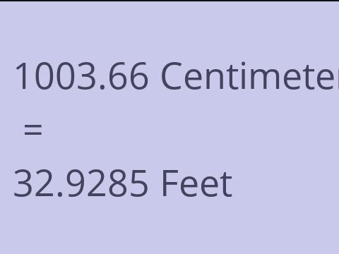 1003.66 CM TO FEET