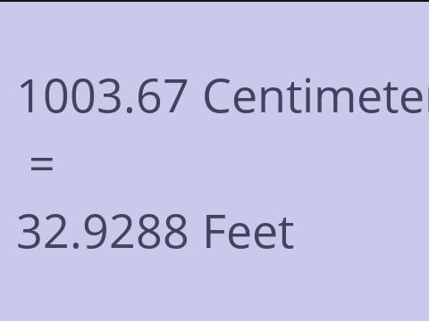 1003.67 CM TO FEET