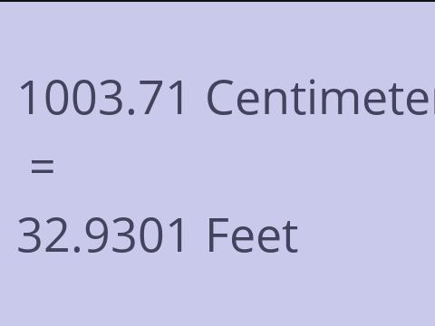 1003.71 CM TO FEET