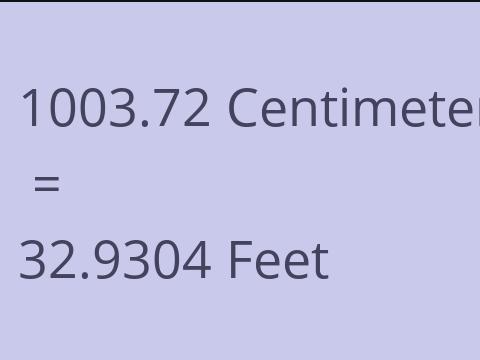 1003.72 CM TO FEET