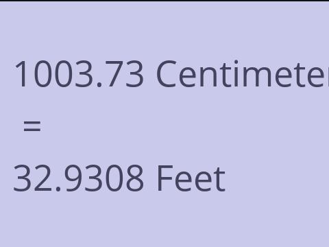 1003.73 CM TO FEET