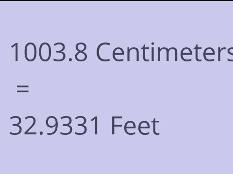 1003.8 CM TO FEET