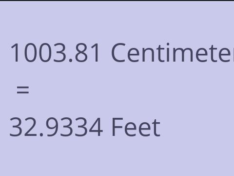 1003.81 CM TO FEET