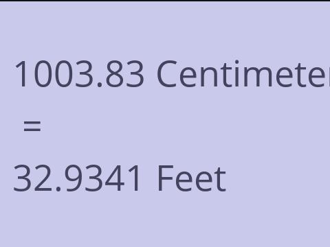 1003.83 CM TO FEET