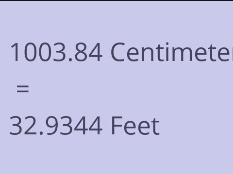 1003.84 CM TO FEET