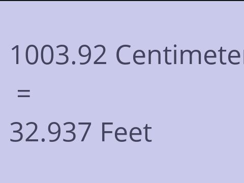 1003.92 CM TO FEET