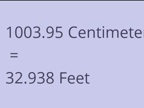 1003.95 CM TO FEET