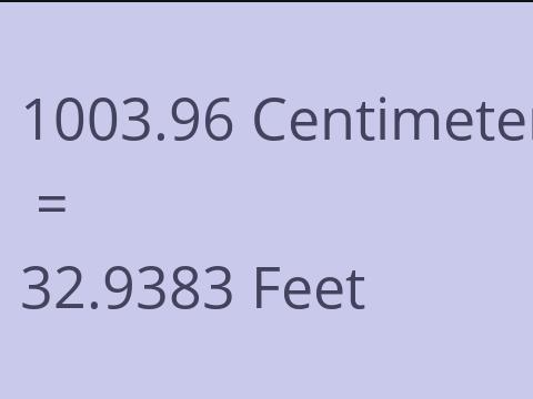 1003.96 CM TO FEET