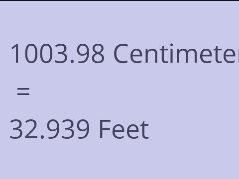 1003.98 CM TO FEET