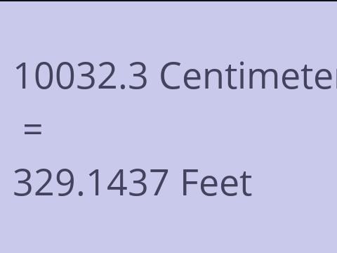 10032.3 CM TO FEET