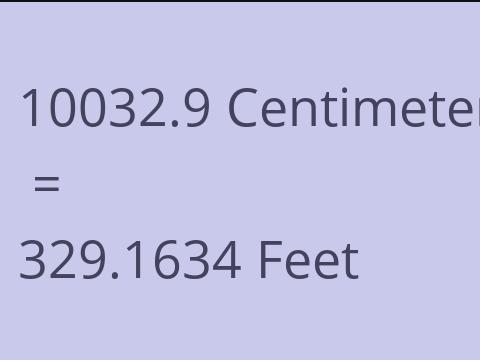 10032.9 CM TO FEET