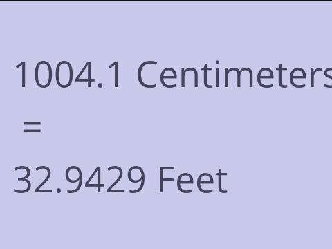 1004.1 CM TO FEET