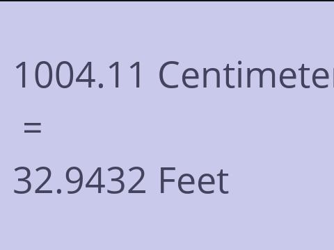 1004.11 CM TO FEET