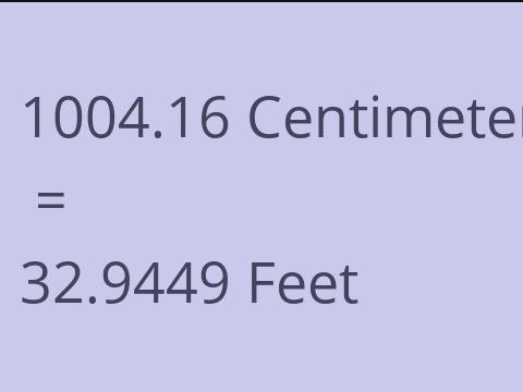 1004.16 CM TO FEET