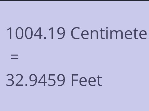 1004.19 CM TO FEET