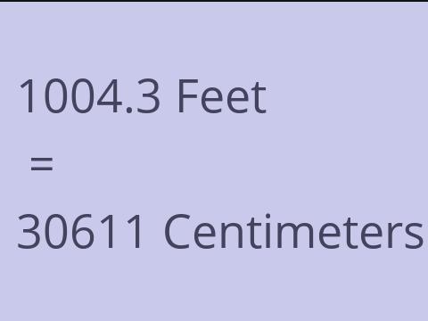 1004.3 FEET TO CM