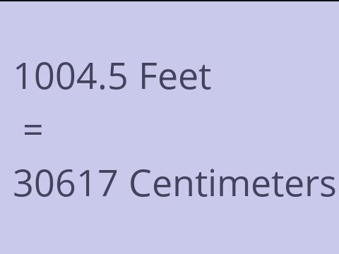 1004.5 FEET TO CM